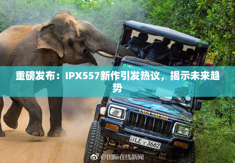 重磅发布：IPX557新作引发热议，揭示未来趋势