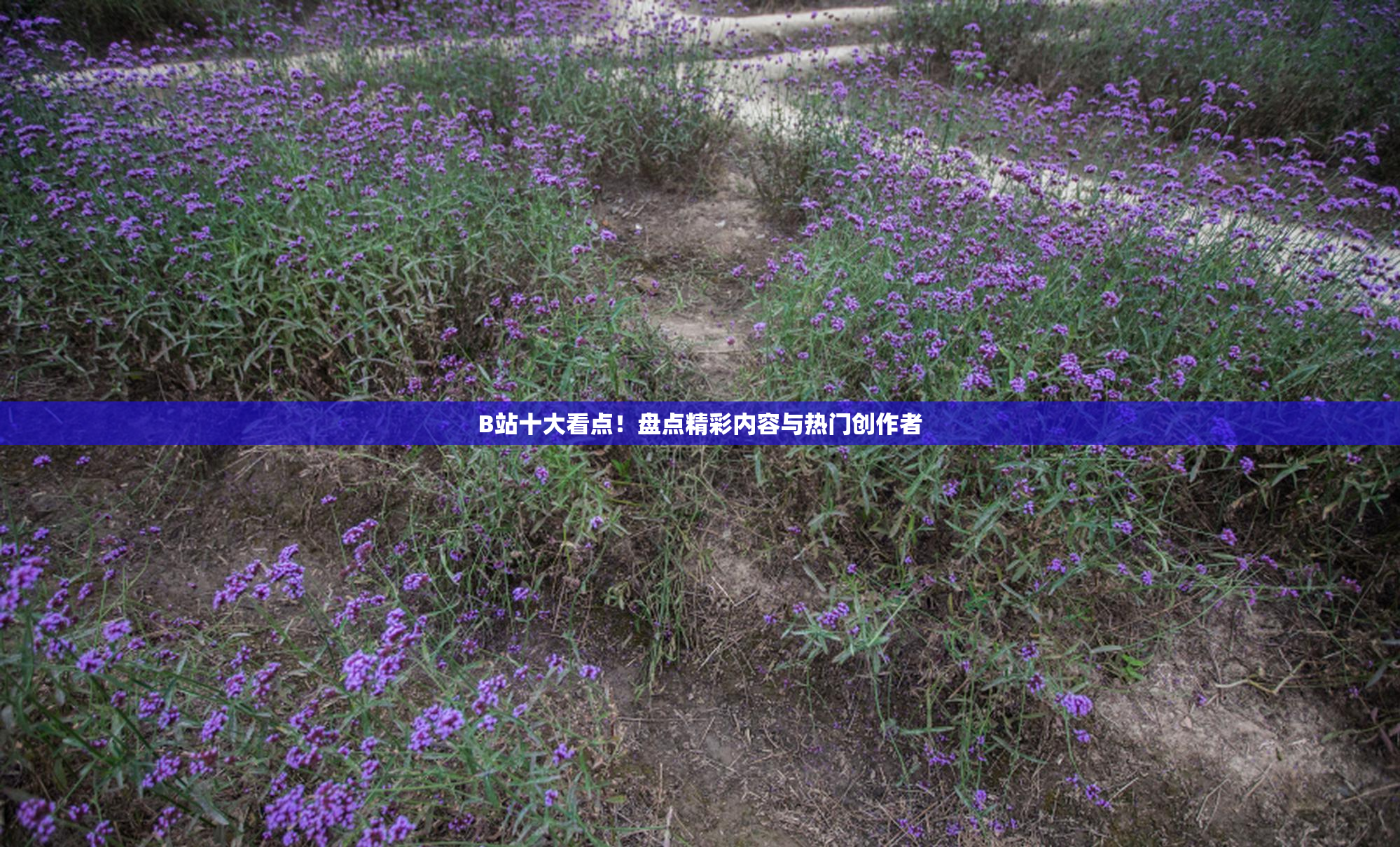 B站十大看点！盘点精彩内容与热门创作者