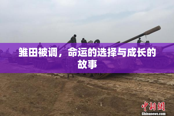 雏田被调，命运的选择与成长的故事