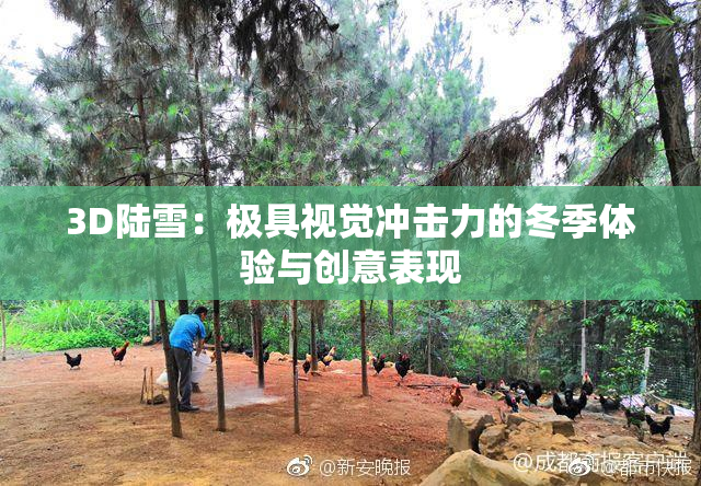 3D陆雪：极具视觉冲击力的冬季体验与创意表现