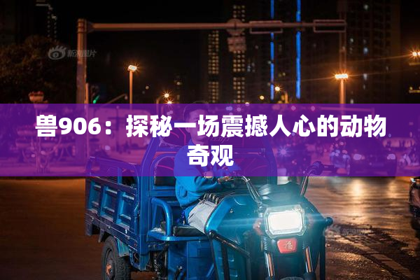 兽906：探秘一场震撼人心的动物奇观