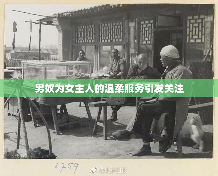 男奴为女主人的温柔服务引发关注