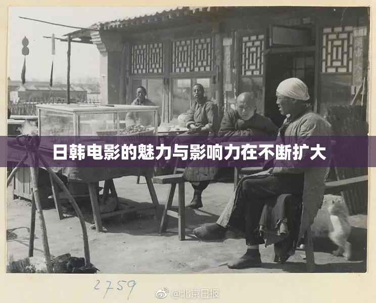 日韩电影的魅力与影响力在不断扩大