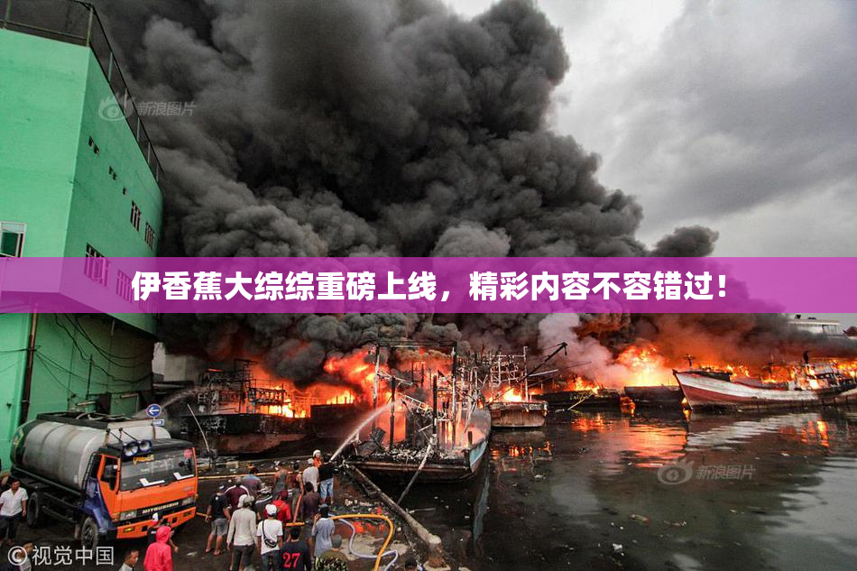 伊香蕉大综综重磅上线，精彩内容不容错过！