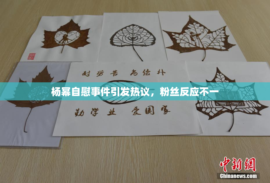杨幂自慰事件引发热议，粉丝反应不一