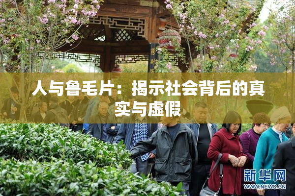 人与鲁毛片：揭示社会背后的真实与虚假