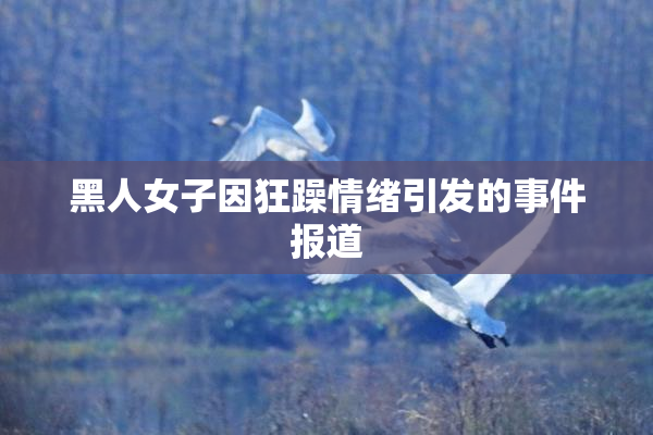 黑人女子因狂躁情绪引发的事件报道