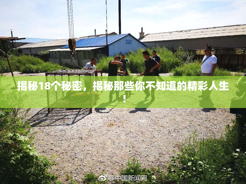 揭秘18个秘密，揭秘那些你不知道的精彩人生！