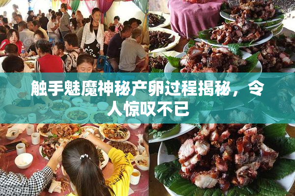 触手魅魔神秘产卵过程揭秘，令人惊叹不已