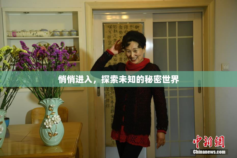 悄悄进入，探索未知的秘密世界