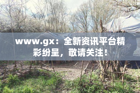 www.gx：全新资讯平台精彩纷呈，敬请关注！