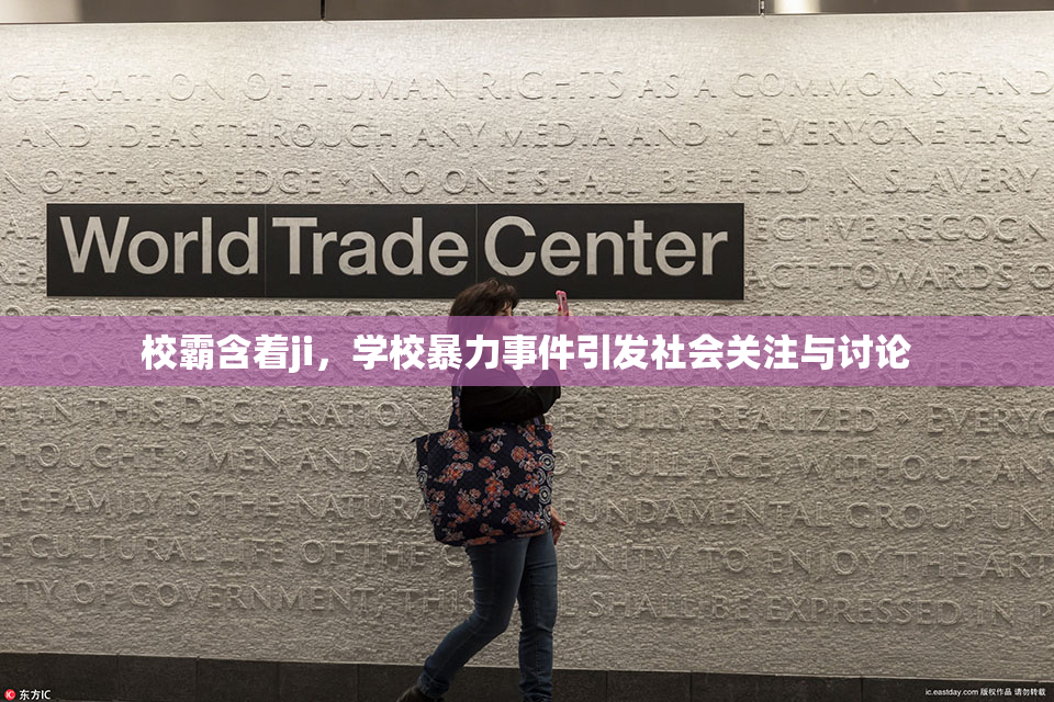 校霸含着ji，学校暴力事件引发社会关注与讨论