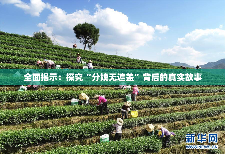 全面揭示：探究“分娩无遮盖”背后的真实故事