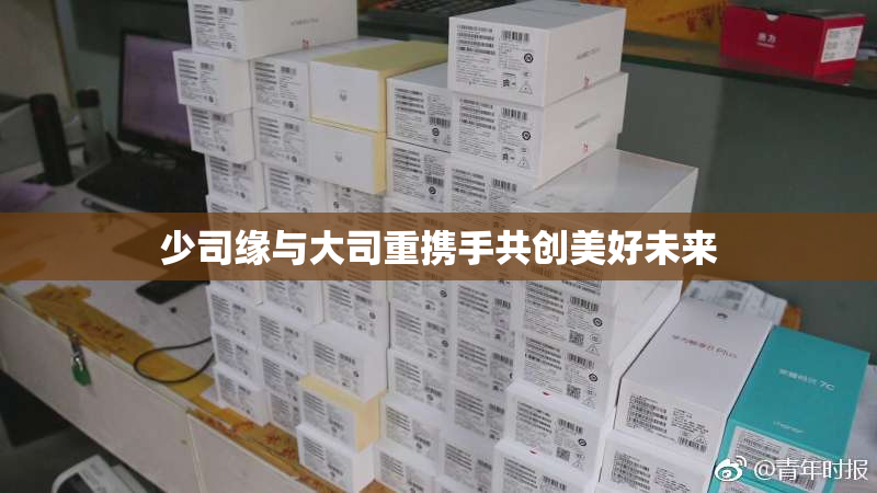 少司缘与大司重携手共创美好未来
