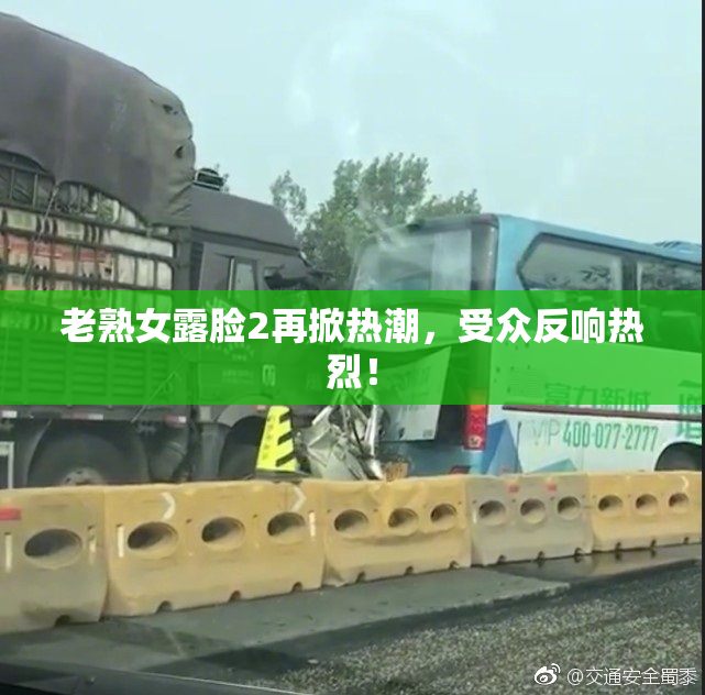 老熟女露脸2再掀热潮，受众反响热烈！