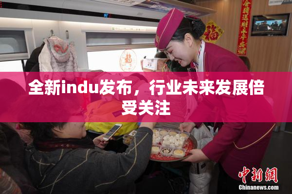 全新indu发布，行业未来发展倍受关注