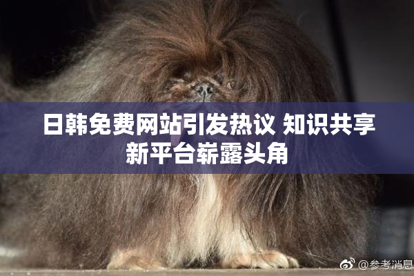 日韩免费网站引发热议 知识共享新平台崭露头角