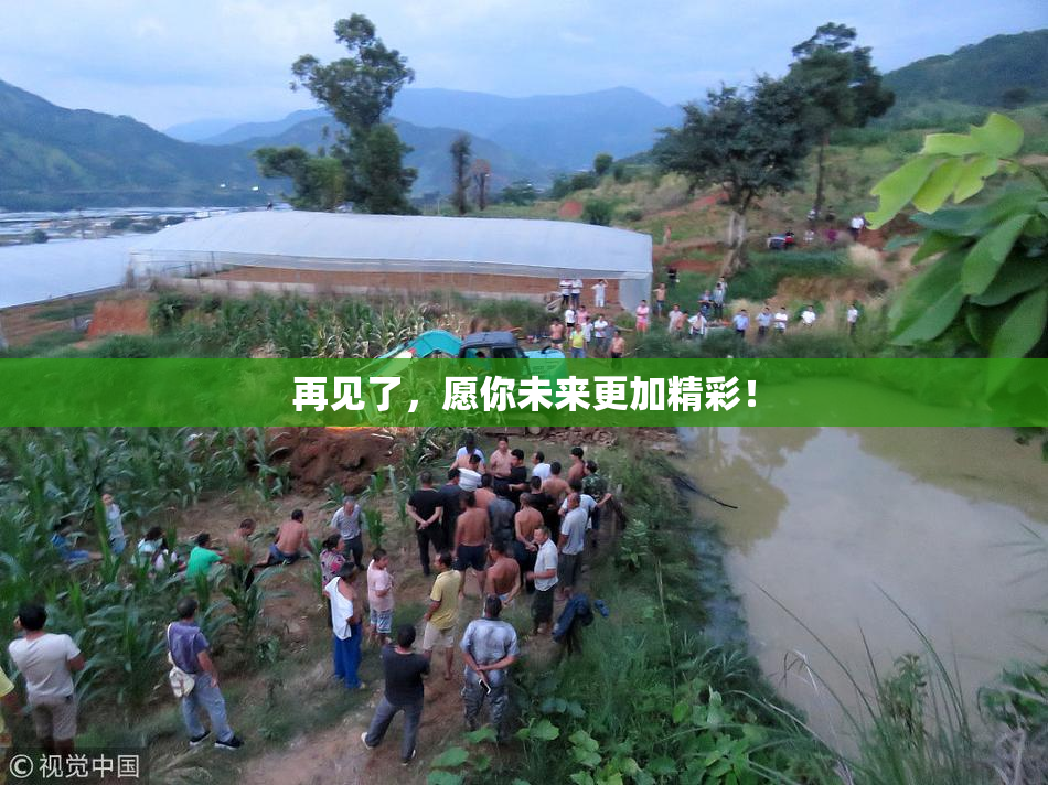 再见了，愿你未来更加精彩！