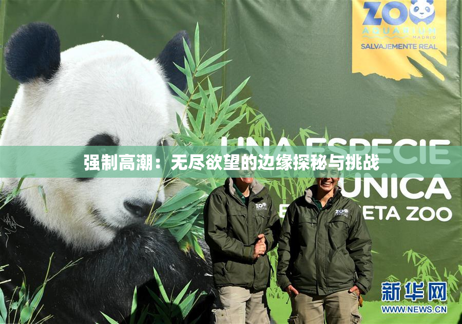 强制高潮：无尽欲望的边缘探秘与挑战