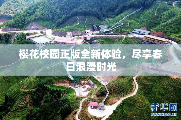 樱花校园正版全新体验，尽享春日浪漫时光