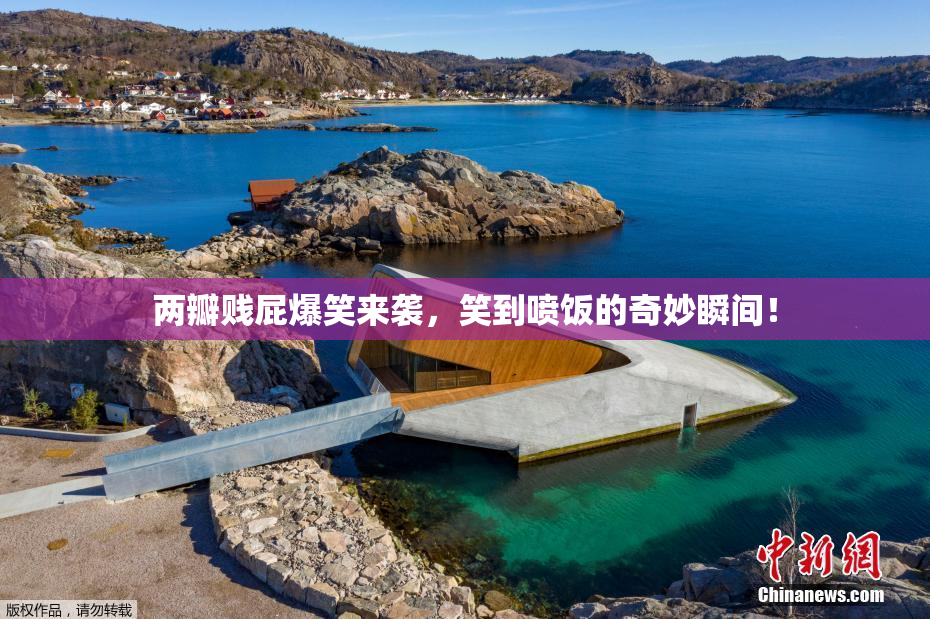 两瓣贱屁爆笑来袭，笑到喷饭的奇妙瞬间！
