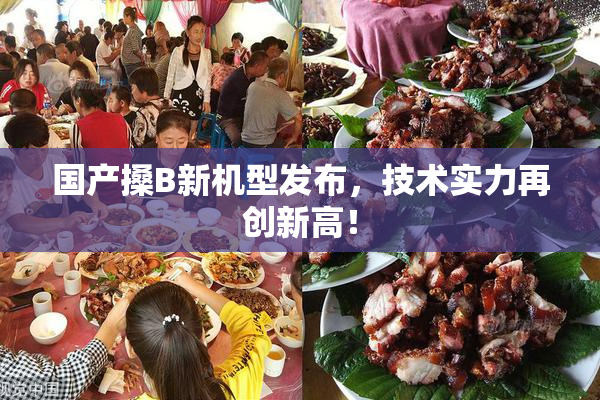 国产搡B新机型发布，技术实力再创新高！