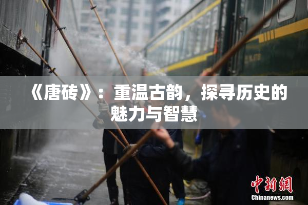 《唐砖》：重温古韵，探寻历史的魅力与智慧
