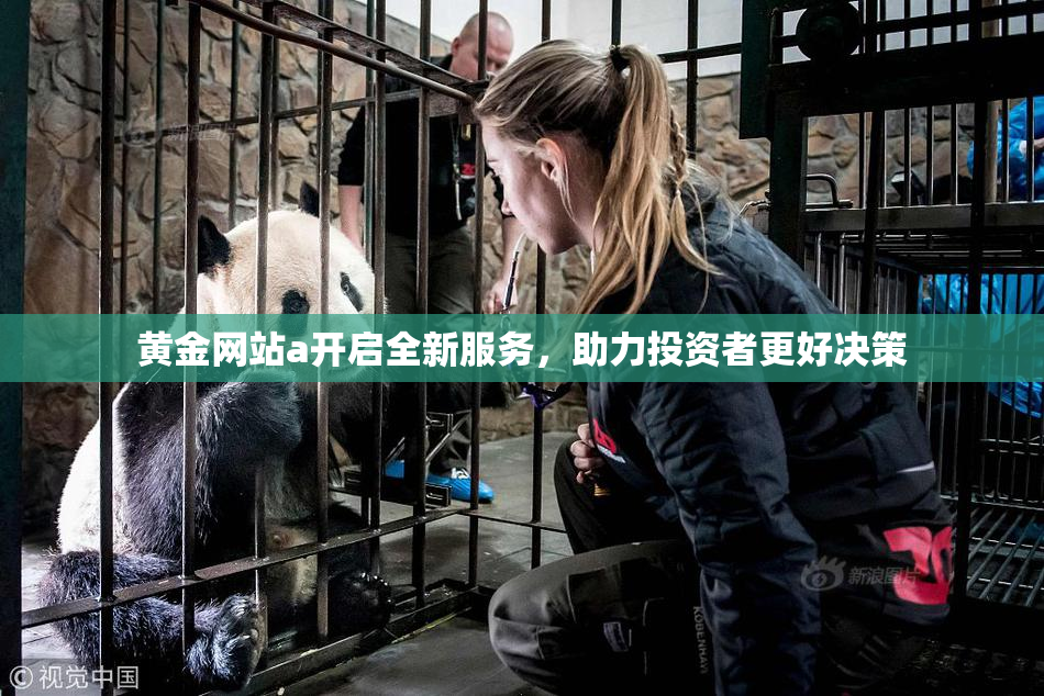 黄金网站a开启全新服务，助力投资者更好决策