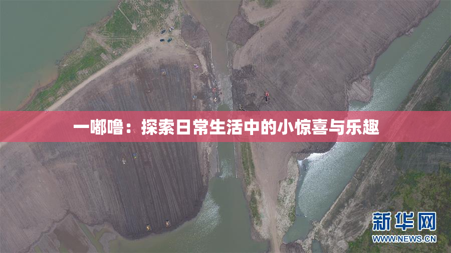一嘟噜：探索日常生活中的小惊喜与乐趣