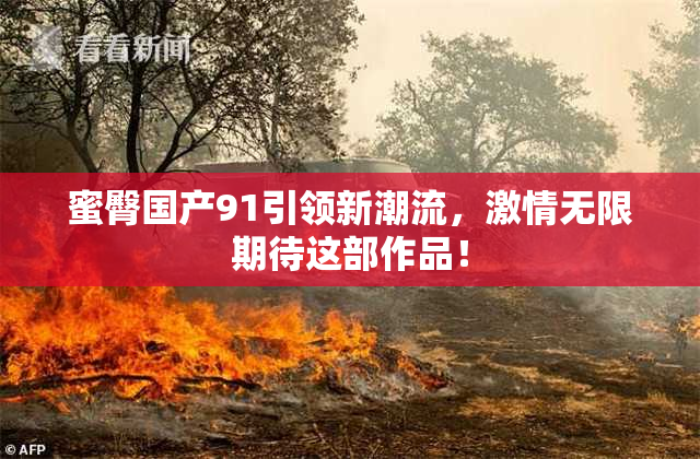 蜜臀国产91引领新潮流，激情无限期待这部作品！