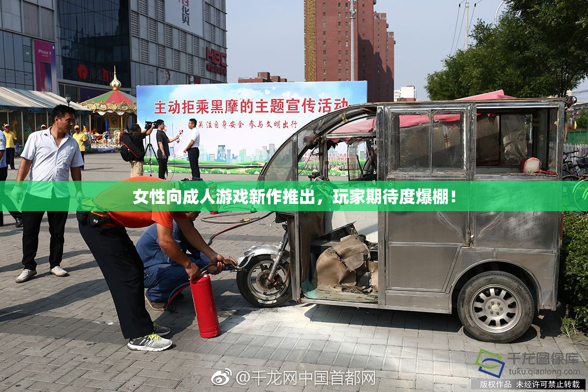 女性向成人游戏新作推出，玩家期待度爆棚！