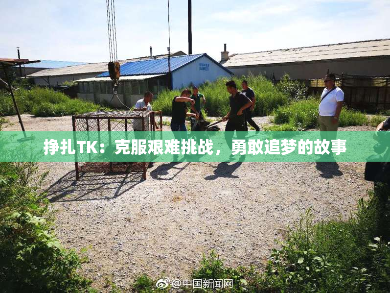 挣扎TK：克服艰难挑战，勇敢追梦的故事