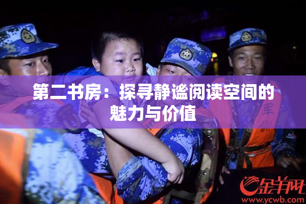 第二书房：探寻静谧阅读空间的魅力与价值
