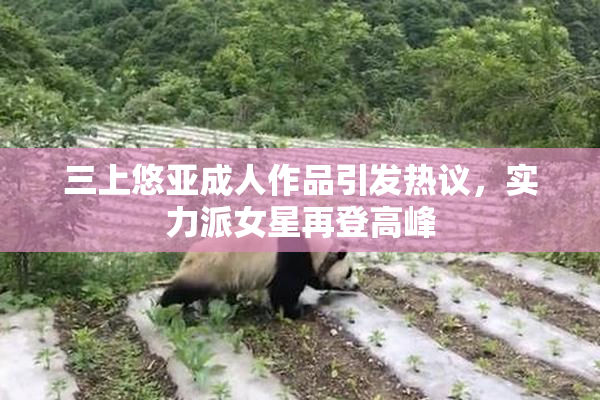三上悠亚成人作品引发热议，实力派女星再登高峰