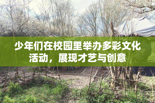 少年们在校园里举办多彩文化活动，展现才艺与创意