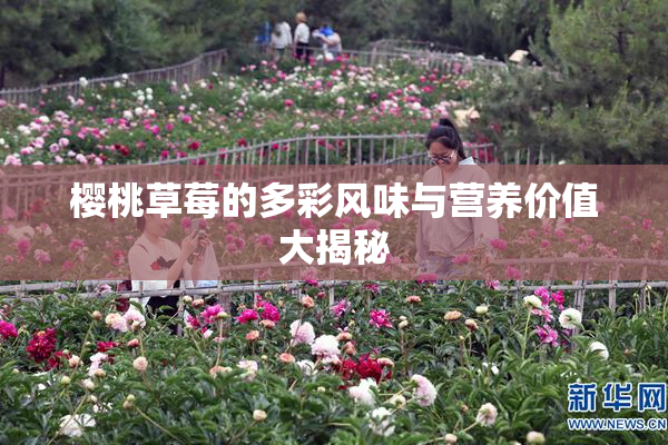 樱桃草莓的多彩风味与营养价值大揭秘