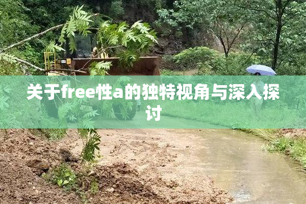 关于free性a的独特视角与深入探讨