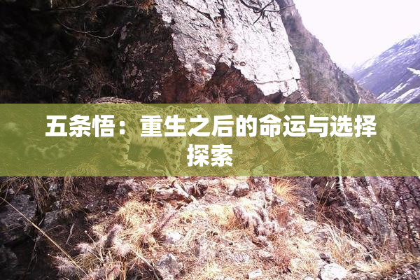 五条悟：重生之后的命运与选择探索