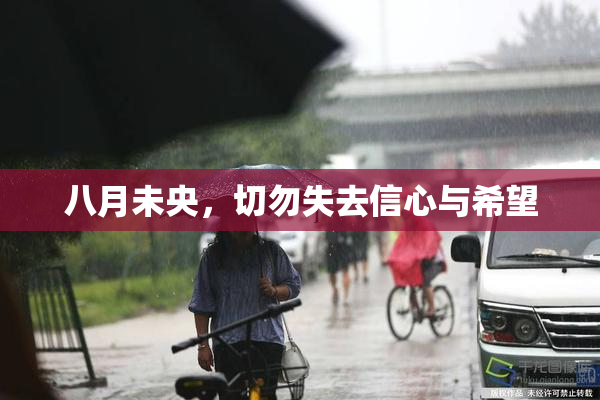 八月未央，切勿失去信心与希望