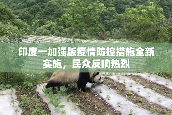 印度一加强版疫情防控措施全新实施，民众反响热烈