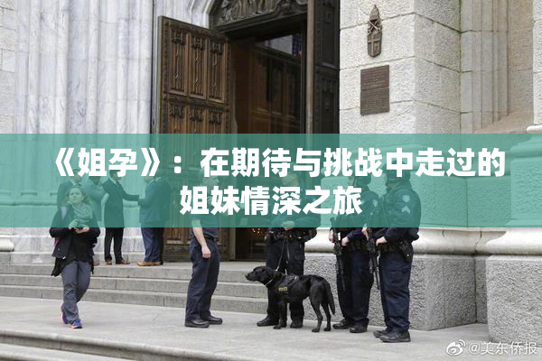 《姐孕》：在期待与挑战中走过的姐妹情深之旅