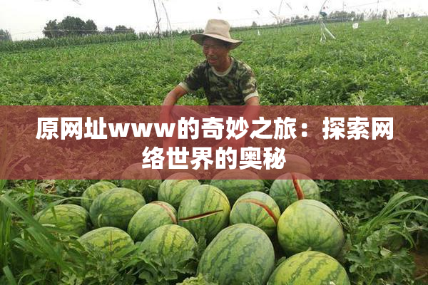 原网址www的奇妙之旅：探索网络世界的奥秘