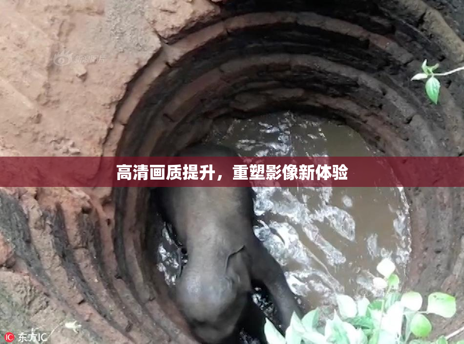 高清画质提升，重塑影像新体验