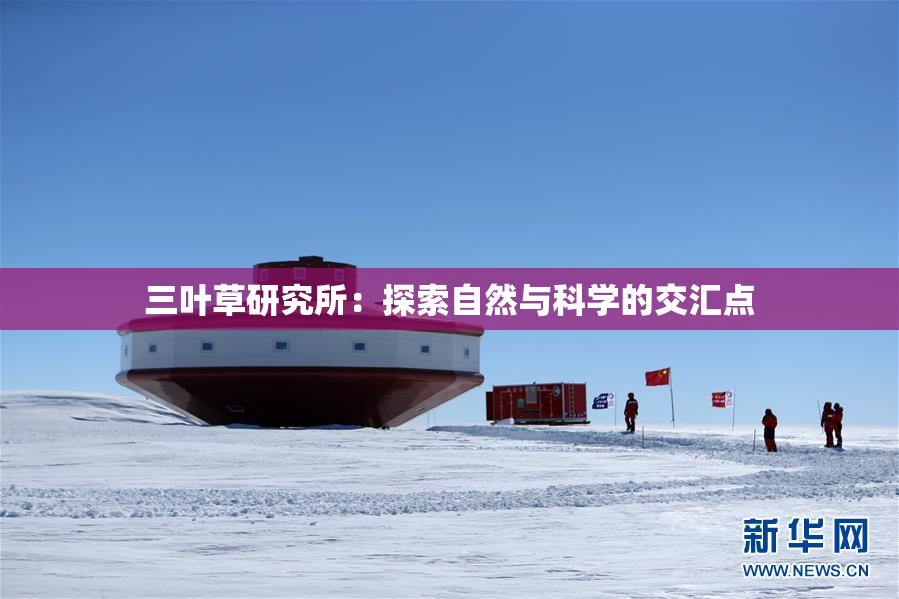 三叶草研究所：探索自然与科学的交汇点