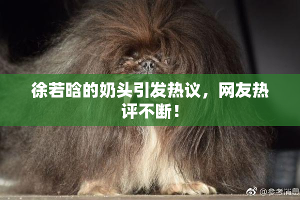 徐若晗的奶头引发热议，网友热评不断！