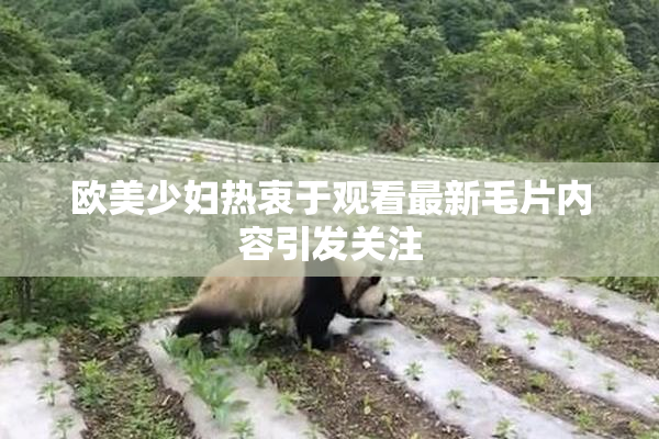 欧美少妇热衷于观看最新毛片内容引发关注