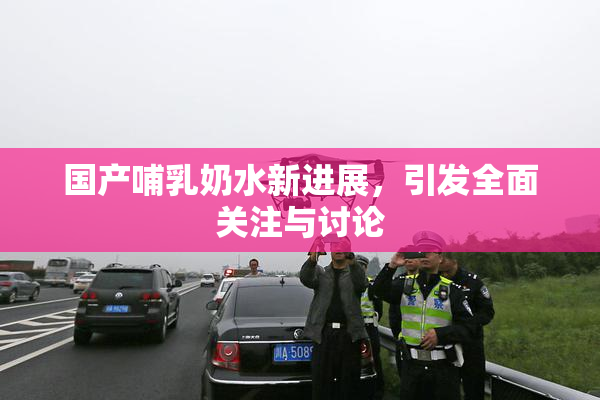 国产哺乳奶水新进展，引发全面关注与讨论