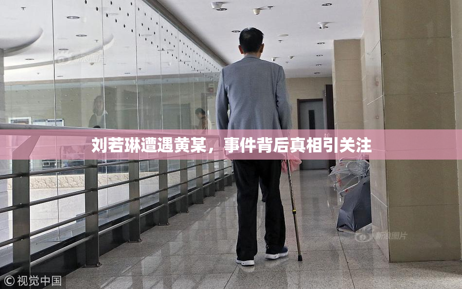 刘若琳遭遇黄某，事件背后真相引关注