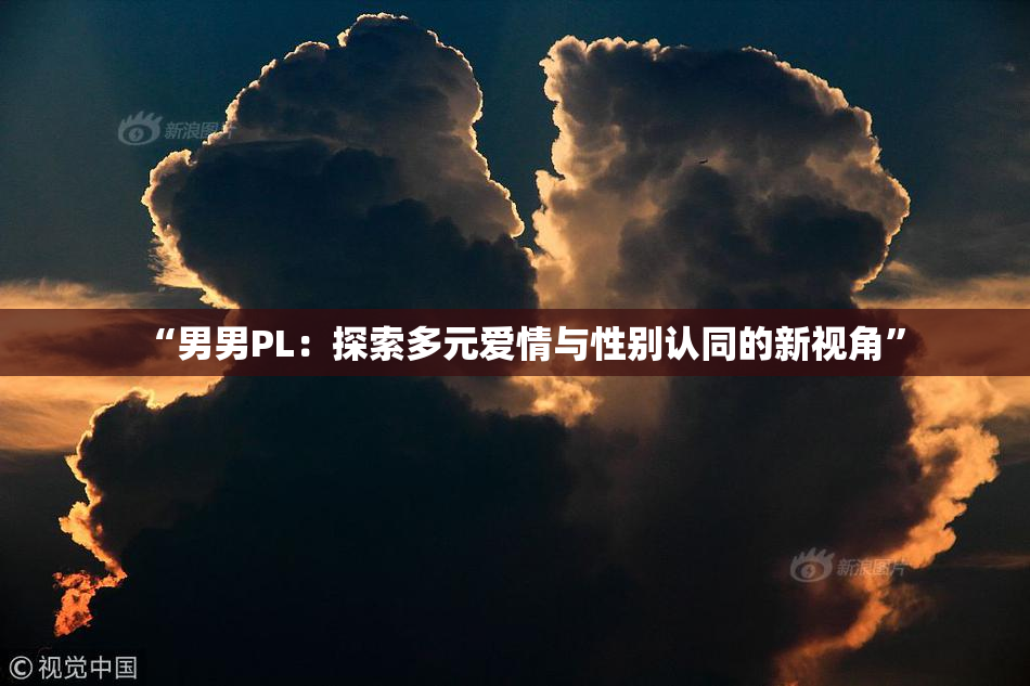 “男男PL：探索多元爱情与性别认同的新视角”