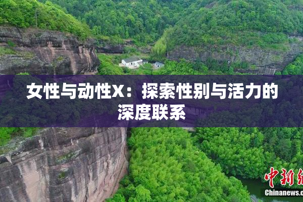 女性与动性X：探索性别与活力的深度联系